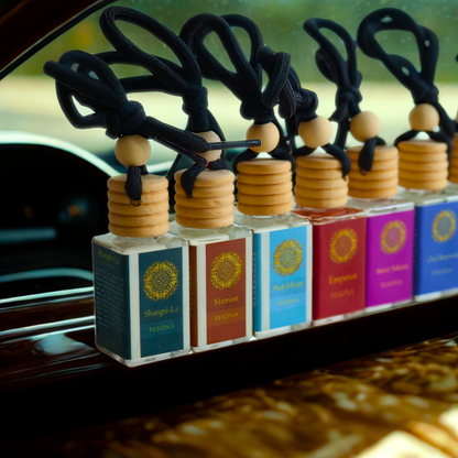 Car Air Freshener 10ml
